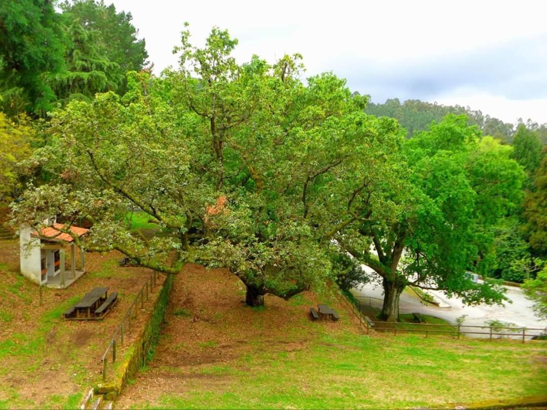 Willa Casa Do Acor Aldeia das Dez Zewnętrze zdjęcie